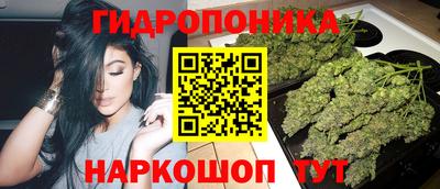 гидра Кандалакша