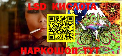 гидра Кандалакша