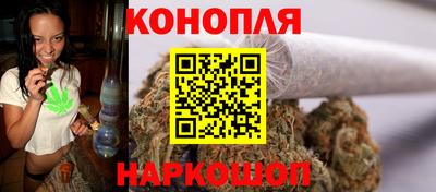 гидра Кандалакша