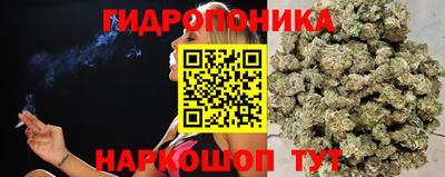 PSILOCYBIN Канаш