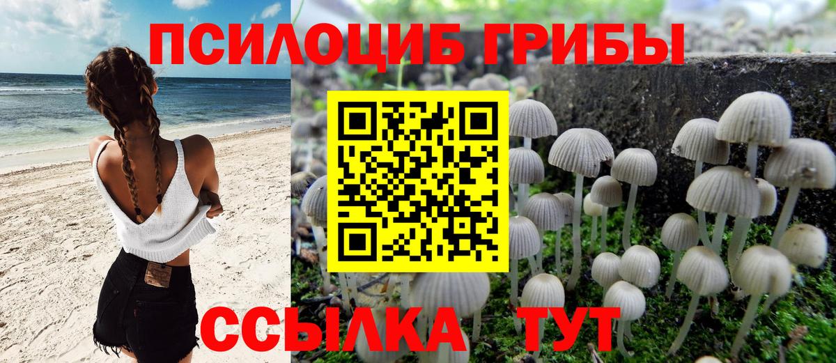 Маркс  Псилоцибиновые грибы GOLDEN TEACHER  Вход с VPN 